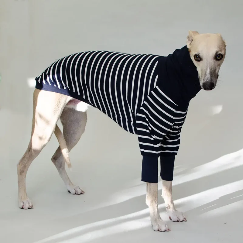 Hundeshirt "MARSEILLE" long-sleeve