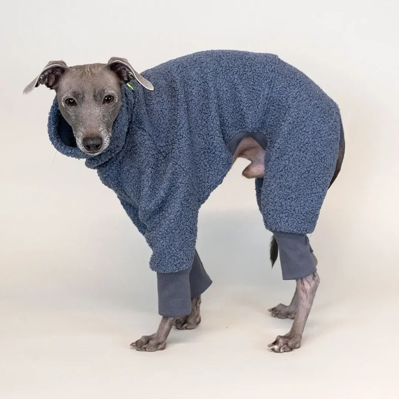 Hunde-Overall "Teddy" Taubenblau