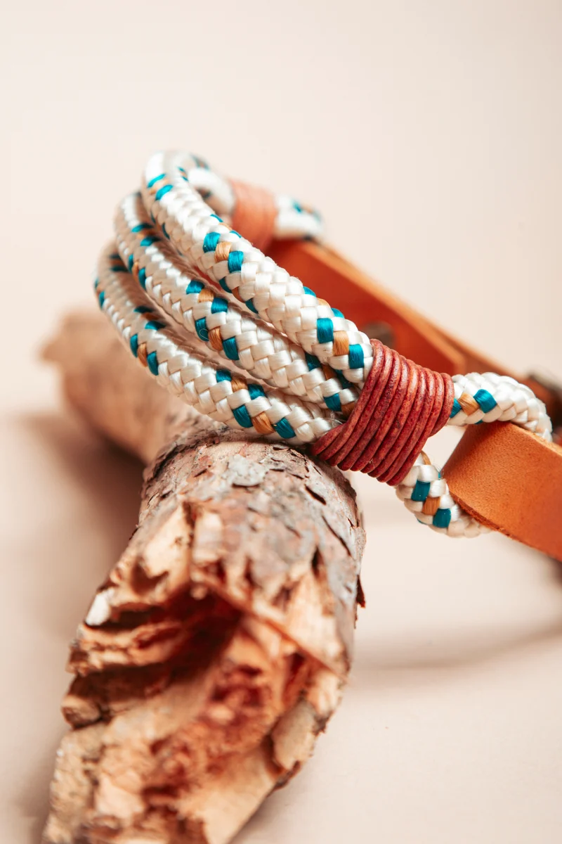 Nordic Trail | verstellbares Hundehalsband