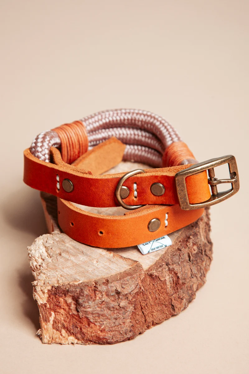Wilderness | verstellbares Hundehalsband