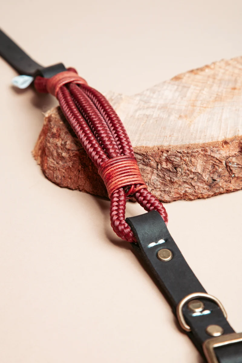 Wilderness | verstellbares Hundehalsband