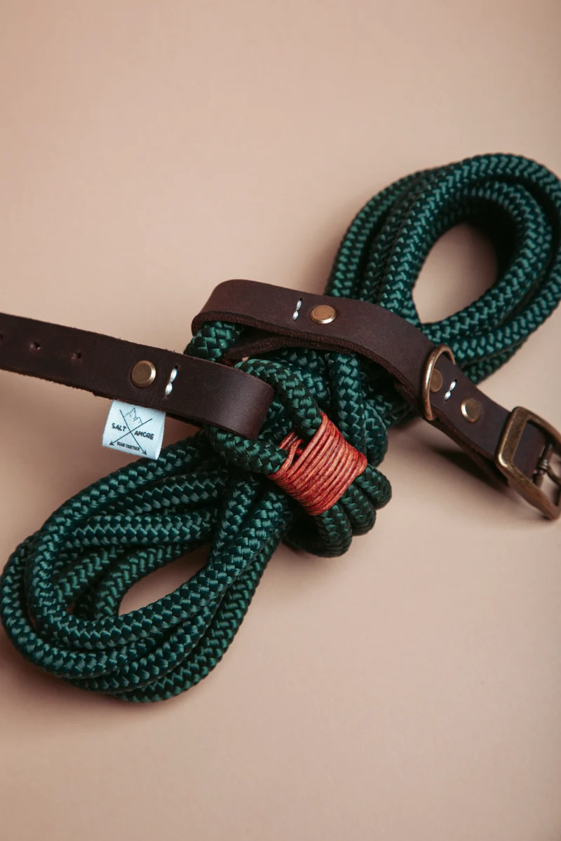 Wilderness | verstellbares Hundehalsband