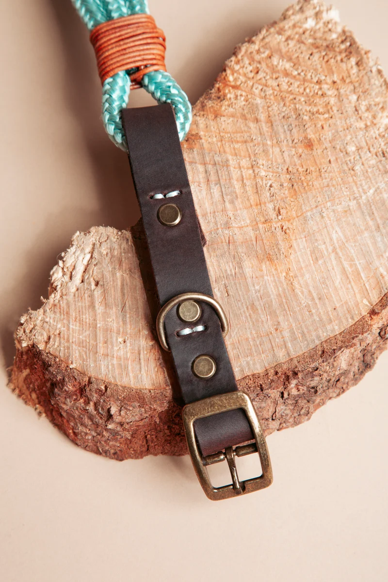 Wilderness | verstellbares Hundehalsband