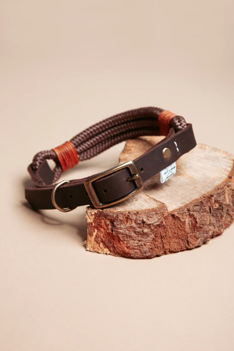 Wilderness | verstellbares Hundehalsband
