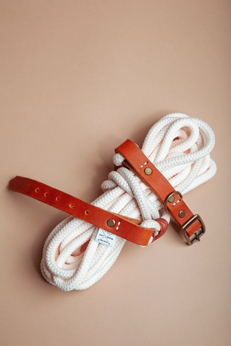 Wilderness | verstellbares Hundehalsband