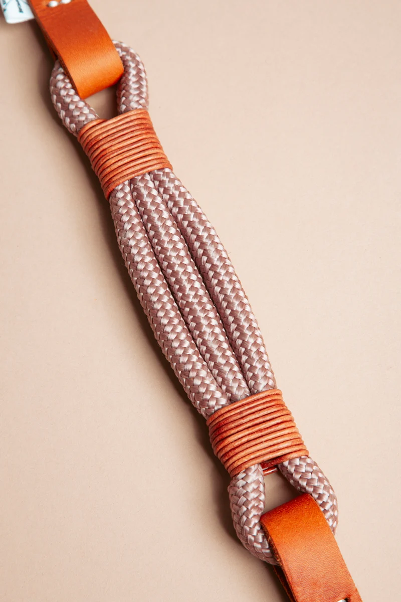 Wilderness | verstellbares Hundehalsband