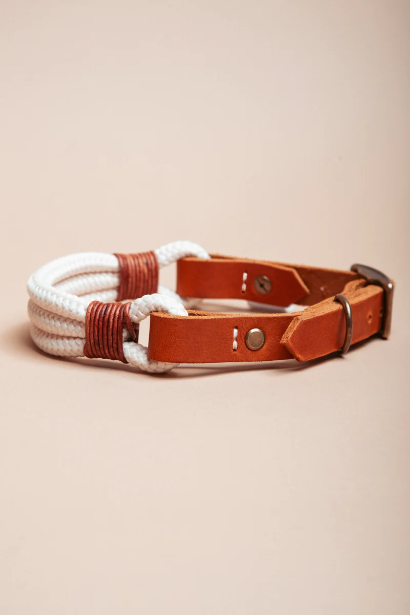 Wilderness | verstellbares Hundehalsband