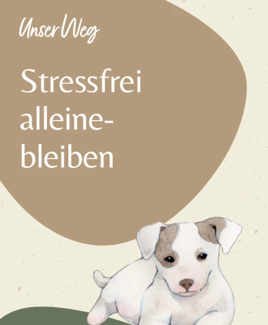 Kostenloses E-Book 'Stressfrei Alleinebleiben'