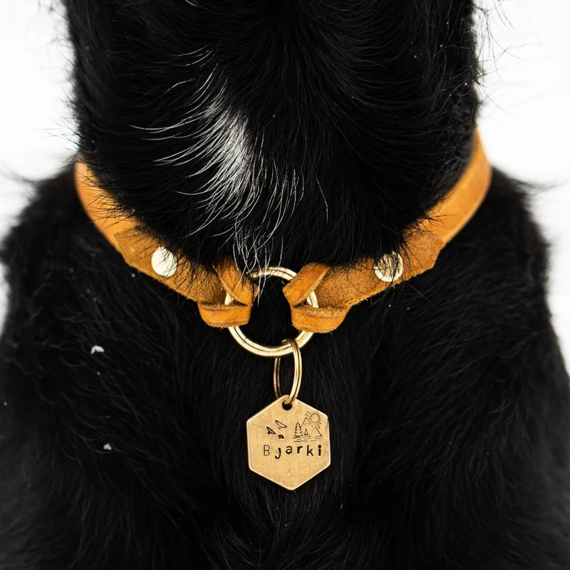 Markenhalsband aus Fettleder