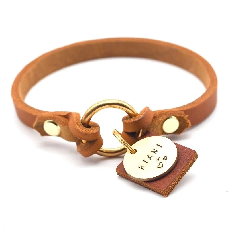 Markenhalsband aus Fettleder