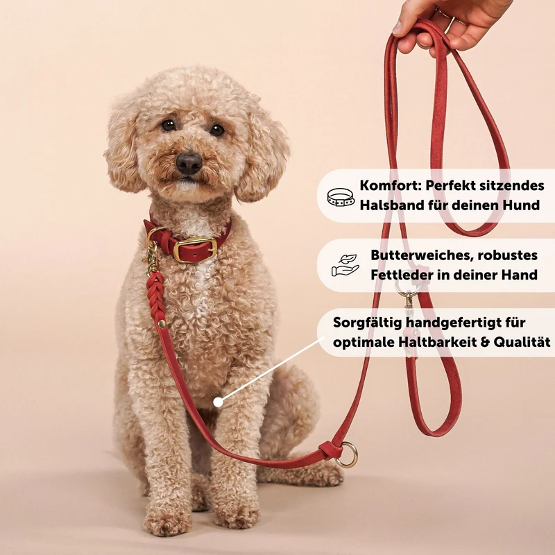 Set | Lederhalsband & Leine in Chili