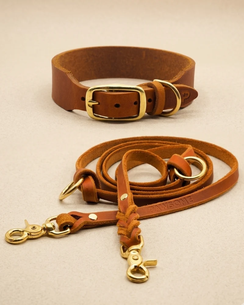 Set | Lederhalsband & Leine in Cognac