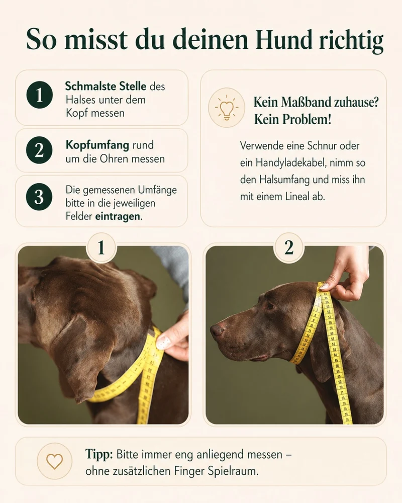 Zugstopp-Halsband aus Fettleder 'Kastanie'
