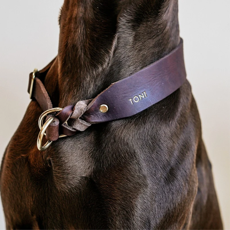 Zugstopp-Halsband aus Fettleder 'Kastanie'