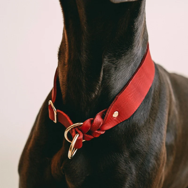 Zugstopp-Halsband aus Fettleder 'Chili'