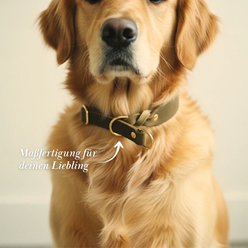 Zugstopp-Halsband aus Fettleder 'Olive'