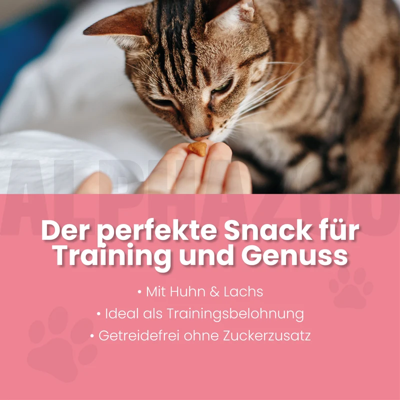 Verlachst Nochmal
