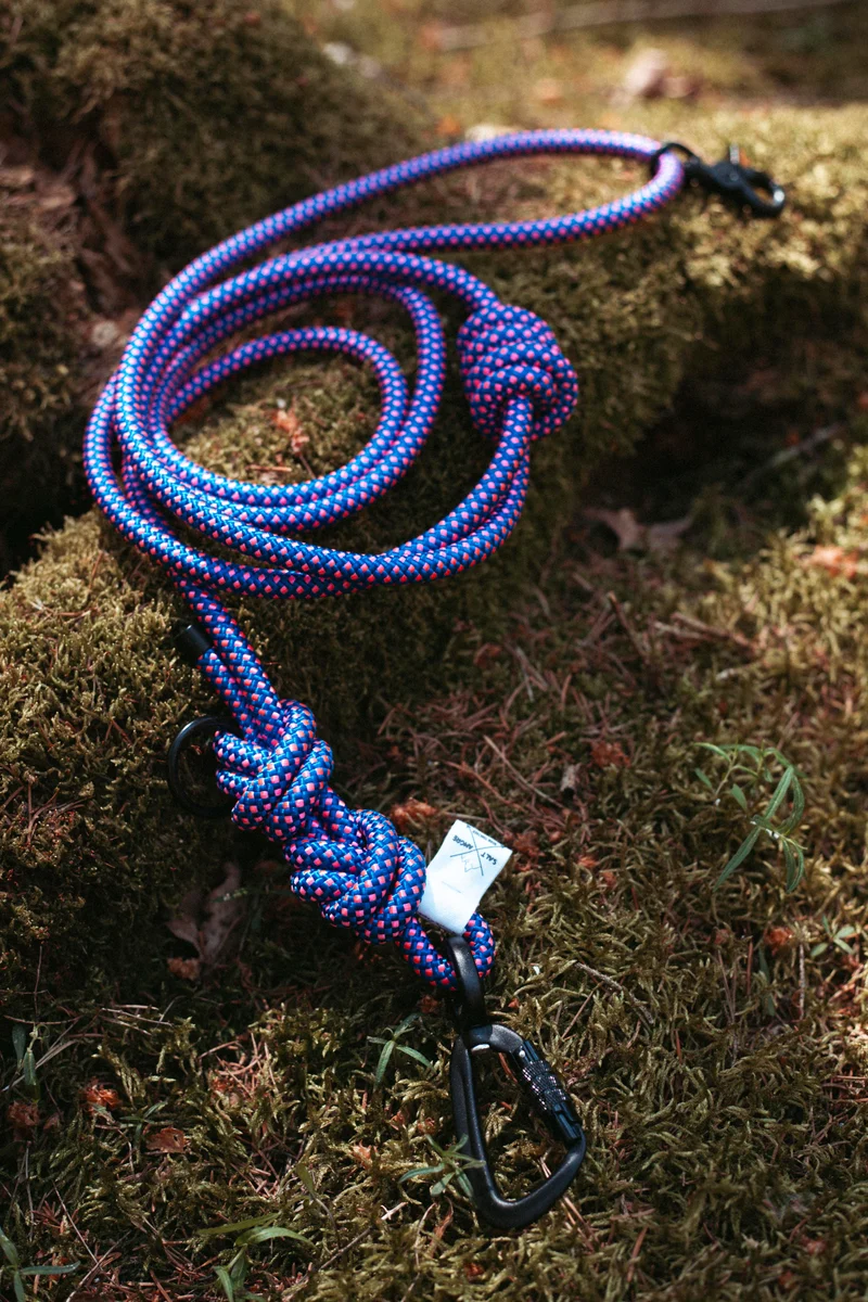 Mountain Climber | Hundeleine | Stufenlos verstellbar