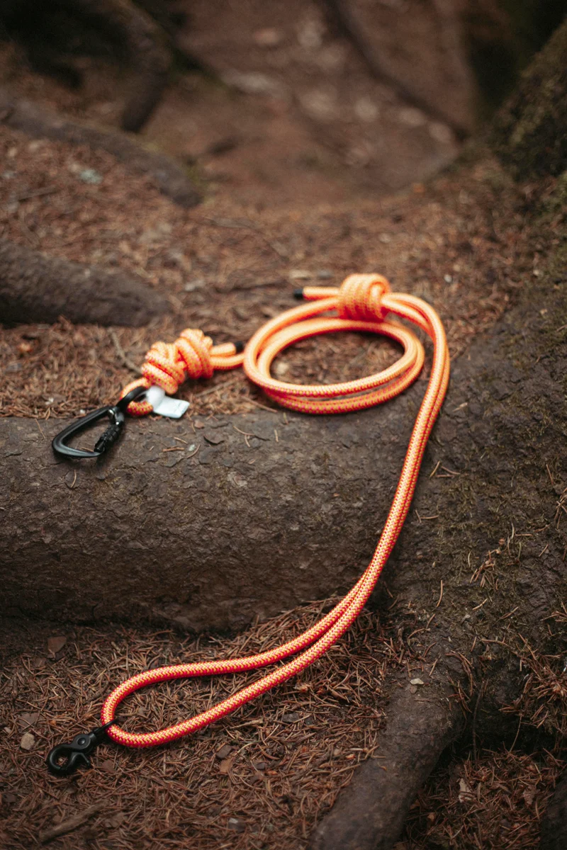 Mountain Climber | Hundeleine | Stufenlos verstellbar