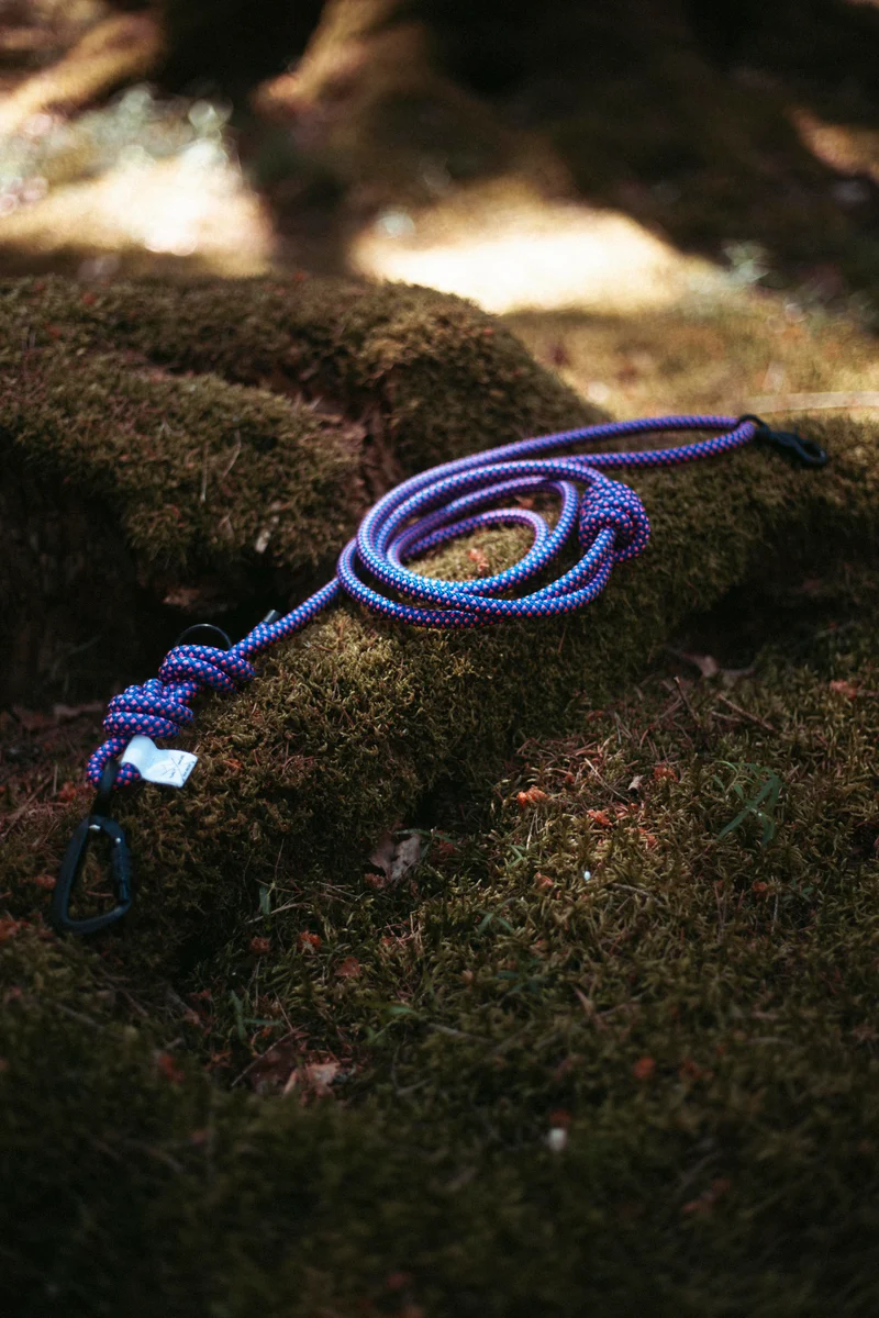 Mountain Climber | Hundeleine | Stufenlos verstellbar