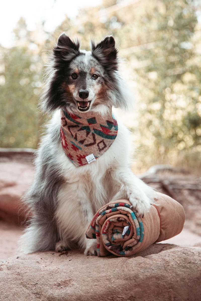 Northwood - Basecamp | Travel Blanket
