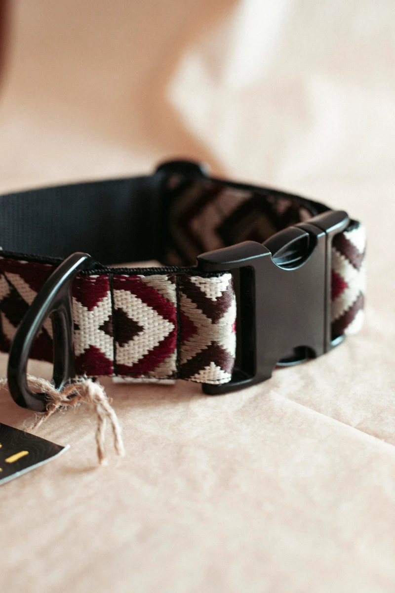Redwood Roamer | verstellbares Hundehalsband