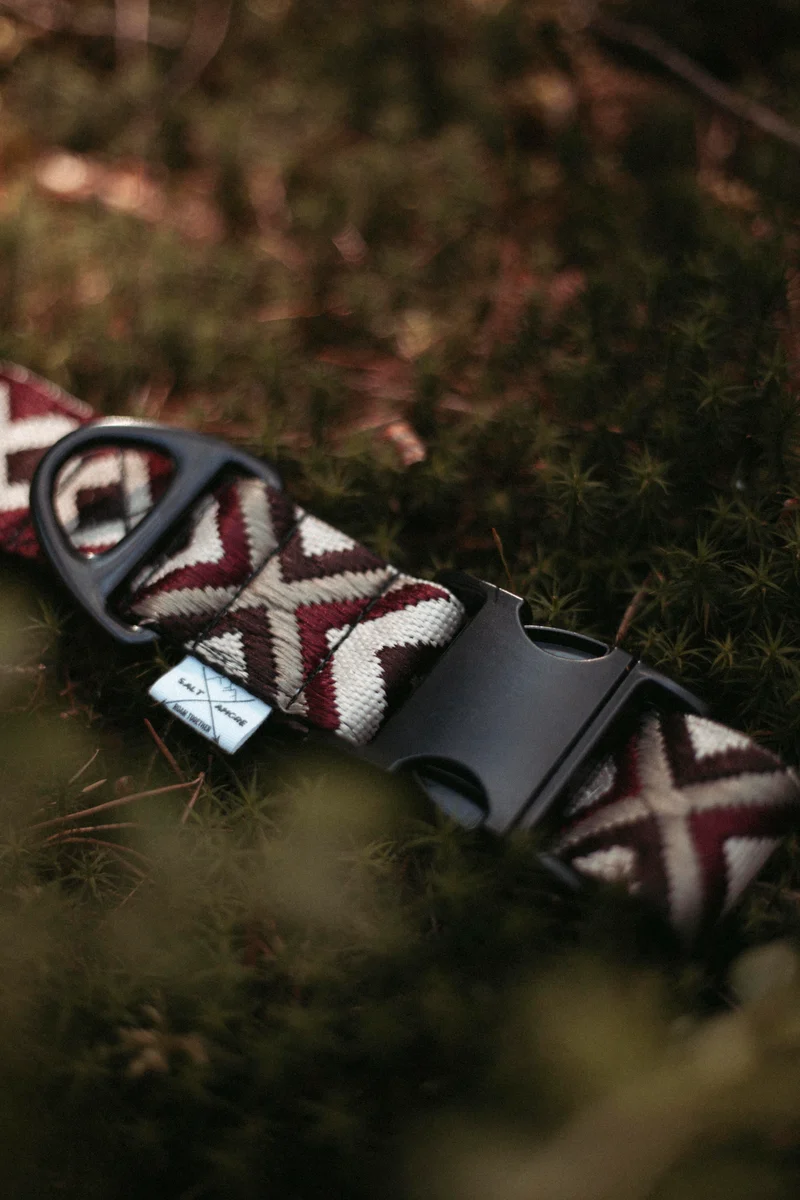 Redwood Roamer | verstellbares Hundehalsband