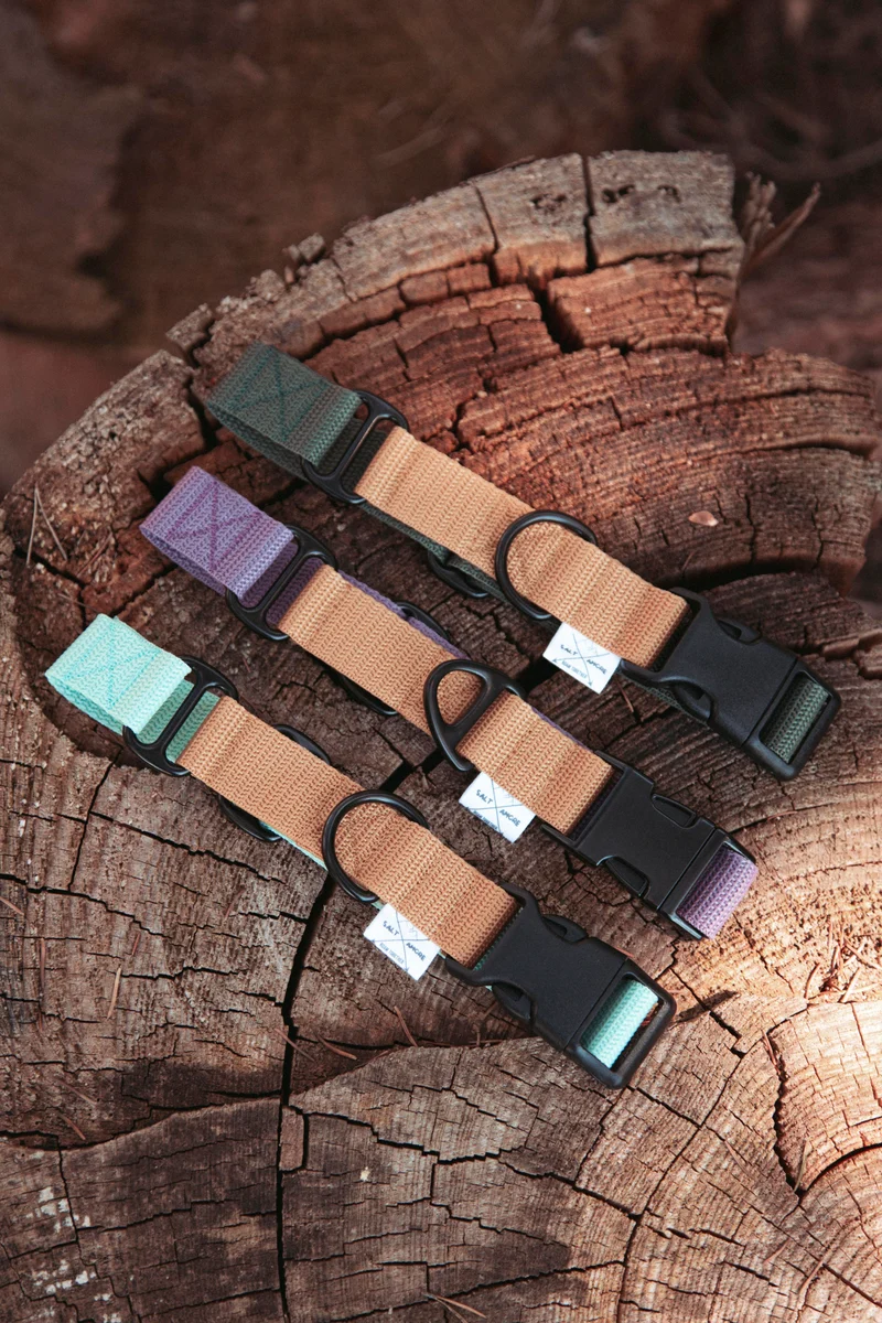 Pathfinder | verstellbares Hundehalsband