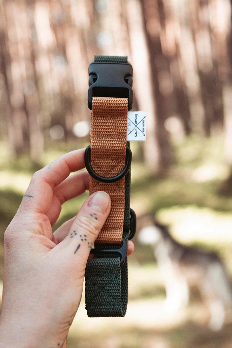 Pathfinder | verstellbares Hundehalsband