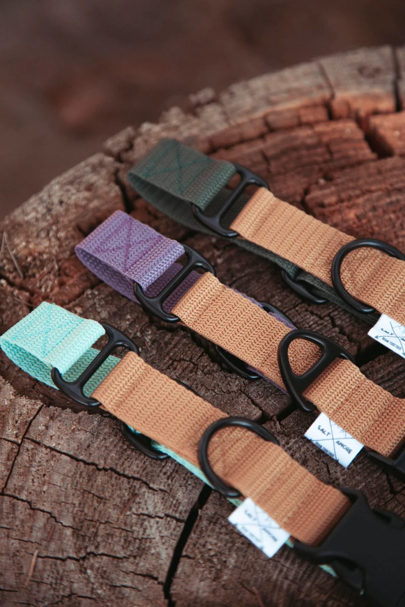 Pathfinder | verstellbares Hundehalsband