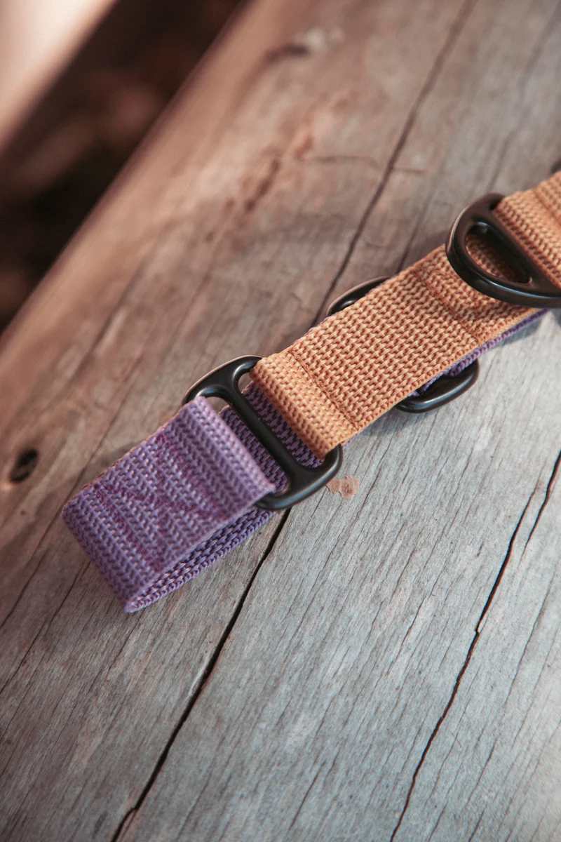 Pathfinder | verstellbares Hundehalsband