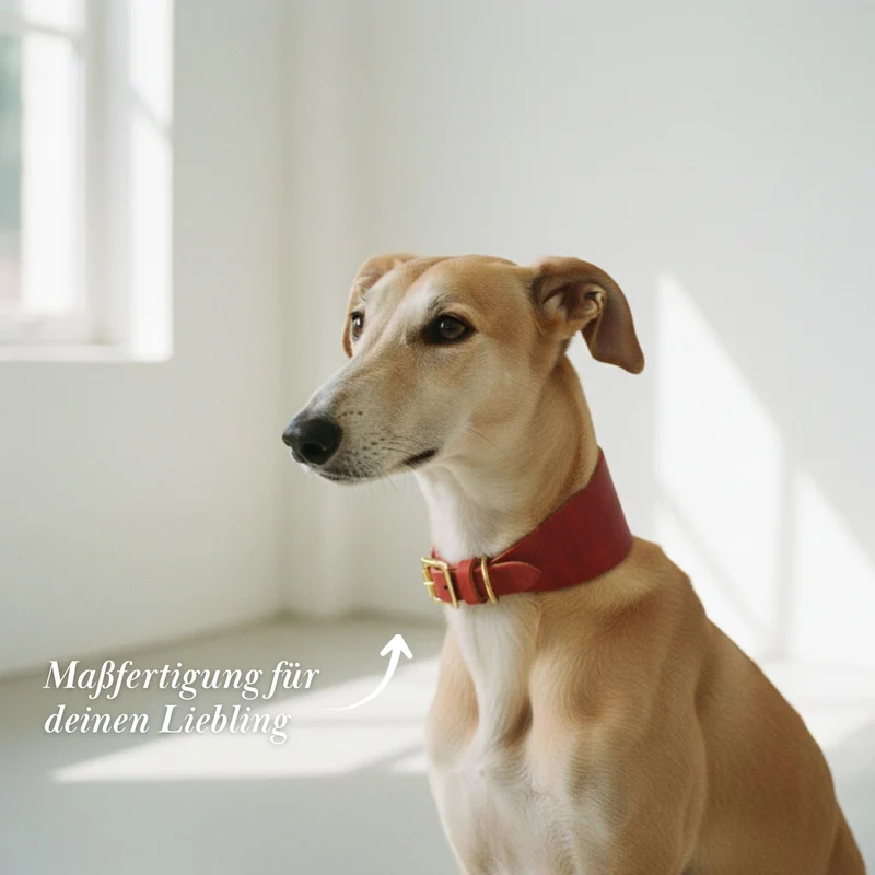 Windhundhalsband aus Fettleder (5 cm breit)