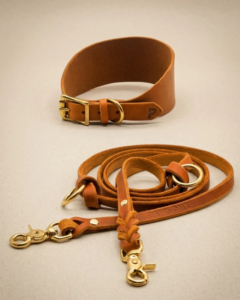 Set | Windhundhalsband (5 cm breit) & Leine aus Fettleder
