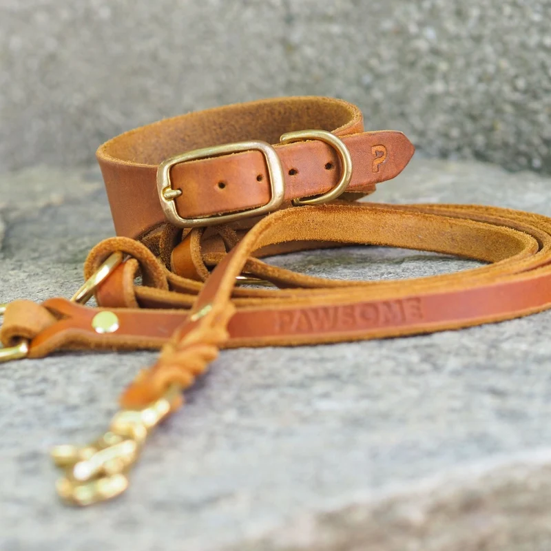 Set | Windhundhalsband (5 cm breit) & Leine aus Fettleder