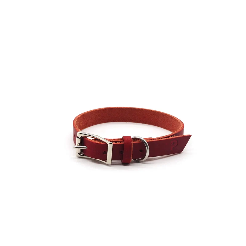 Schmales Lederhalsband in Chili