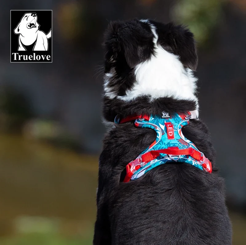 Reflektierendes Hundegeschirr "Camouflage Blue" Limited Edition | Gr. XL | Special Deal