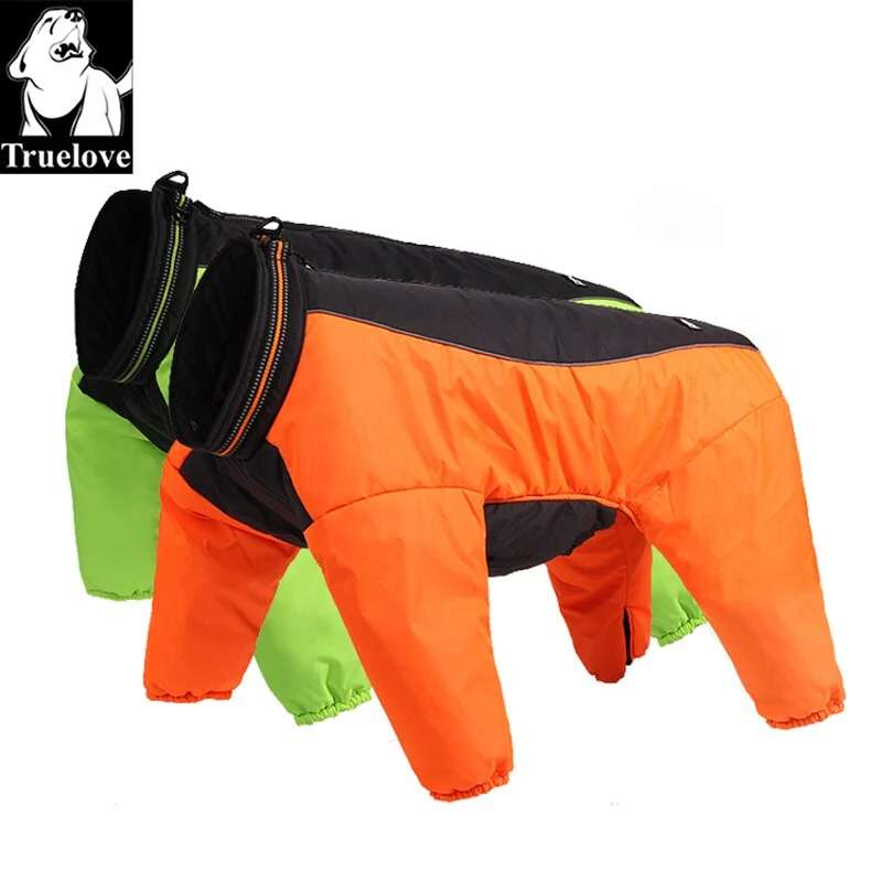 Hundejacke für kalte Tage - Ihr Begleiter für Outdoor-Abenteuer!