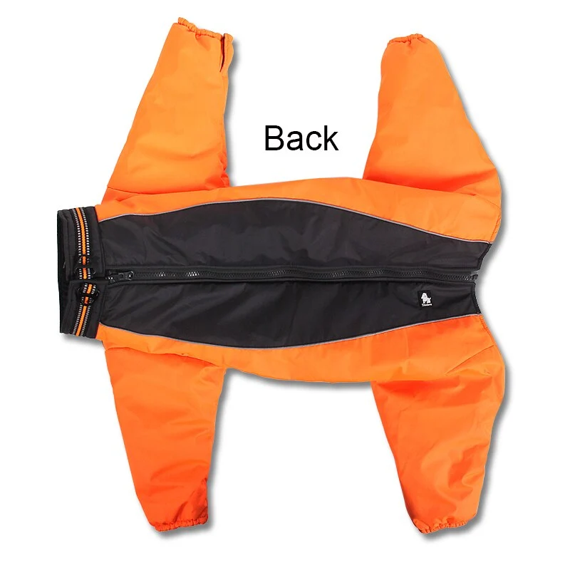 Hundejacke für kalte Tage - Ihr Begleiter für Outdoor-Abenteuer!