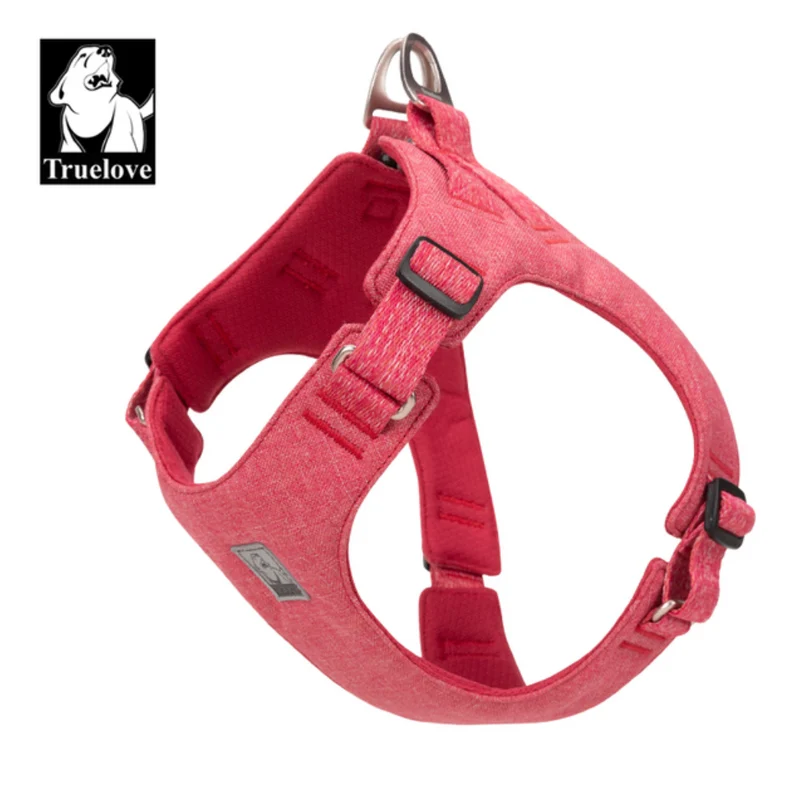 Fancy ECO friendly Hundegeschirr