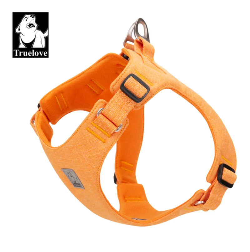 Fancy ECO friendly Hundegeschirr