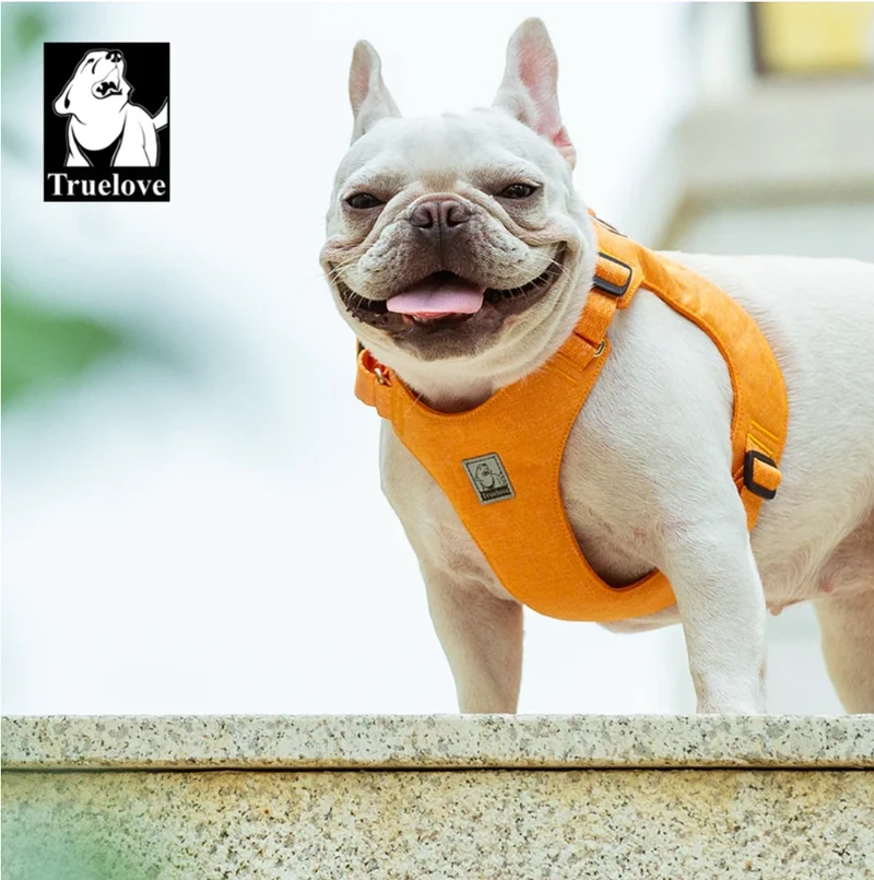 Fancy ECO friendly Hundegeschirr