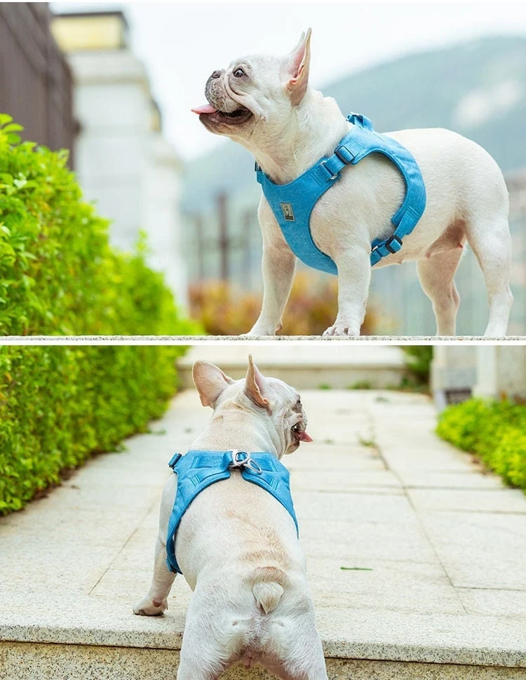 Fancy ECO friendly Hundegeschirr