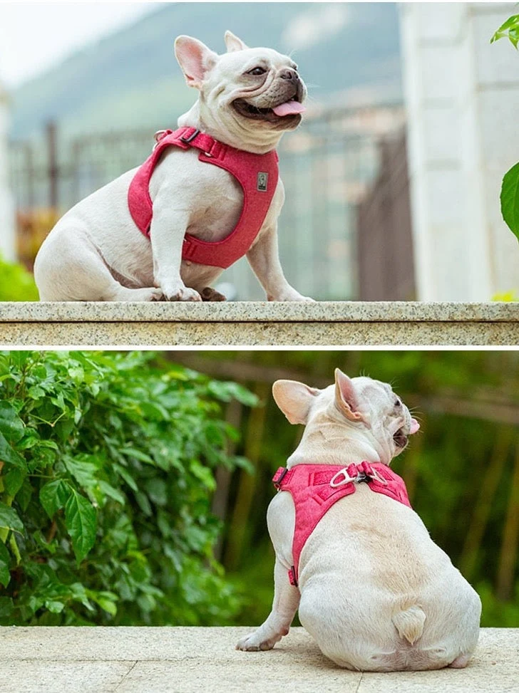 Fancy ECO friendly Hundegeschirr