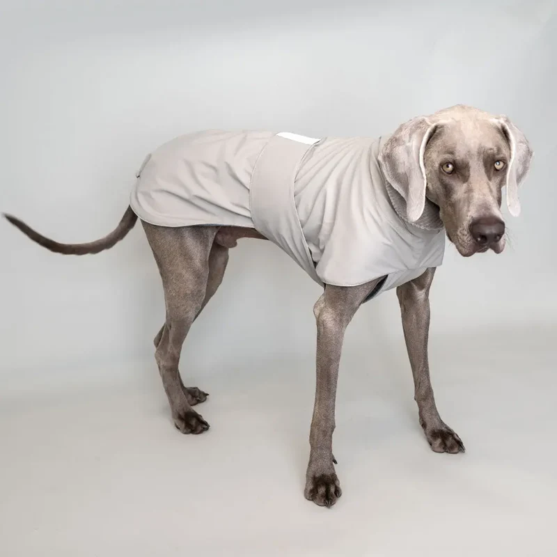 Warmer Hunde-Regenmantel "Safe From Rain" sand VOL 2