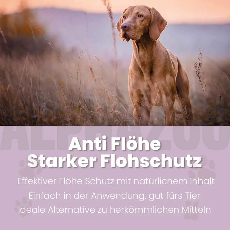 ByeByeVloh Spot-On für Hunde