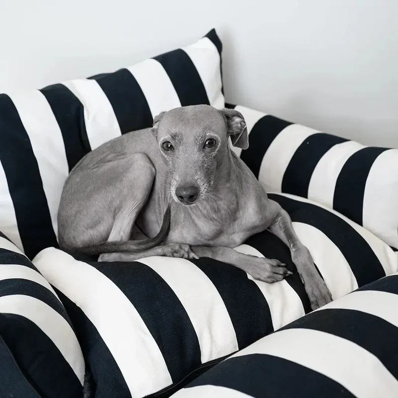 Hundeautositz „Slide Out Deluxe" – Monte Carlo