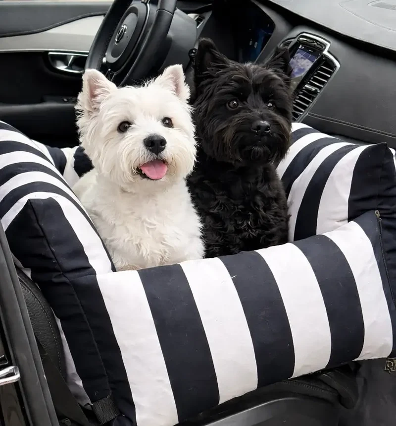 Hundeautositz „Slide Out Deluxe" – Monte Carlo