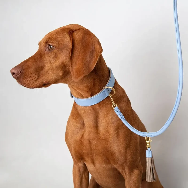 Lederhalsband „Doublé Classic“ – Bleu Taupe