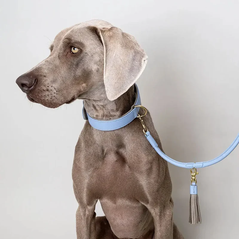 Lederhalsband „Doublé Classic“ – Bleu Taupe