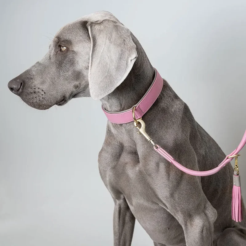 Lederhalsband „Doublé Classic“ – Rose Taupe
